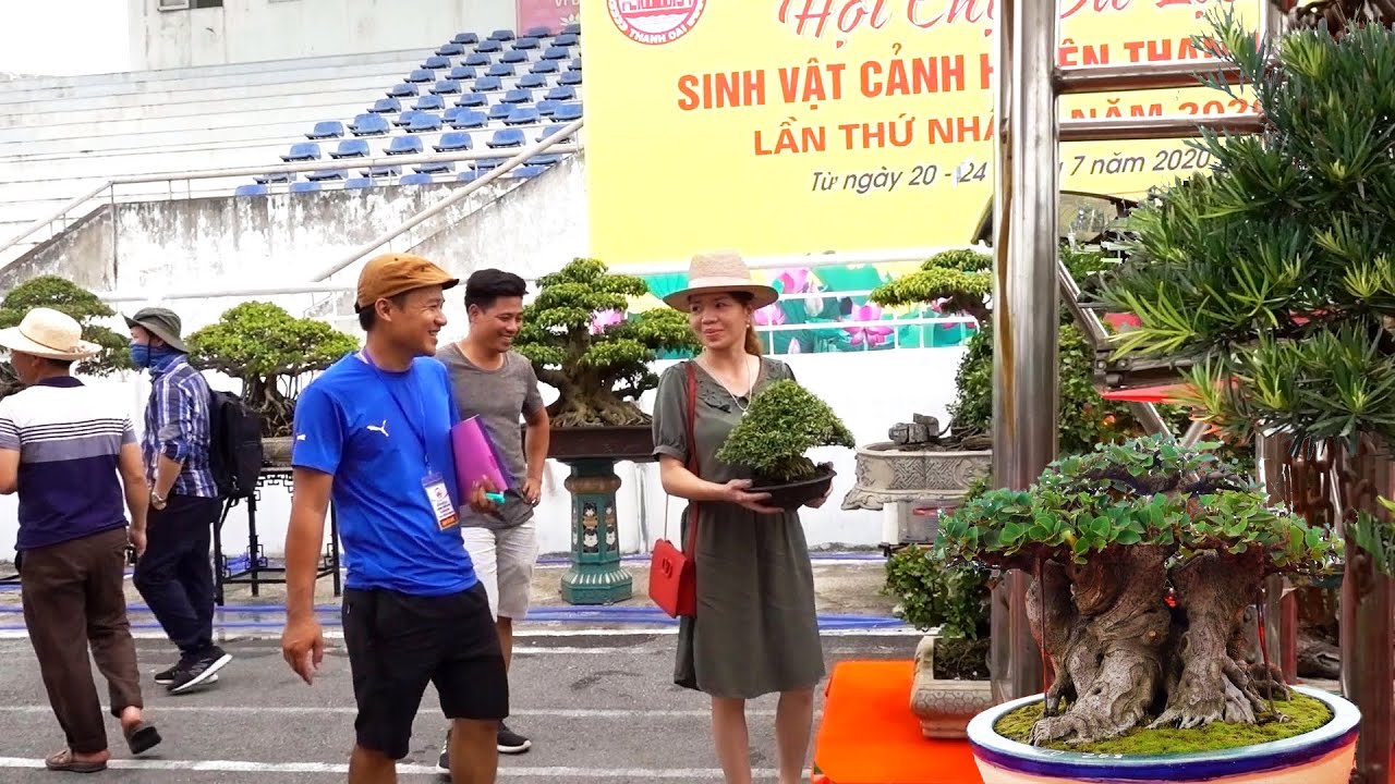 Cây đẹp thiếu nữ bê và những cây nhìn là mê - girl and bonsai trees