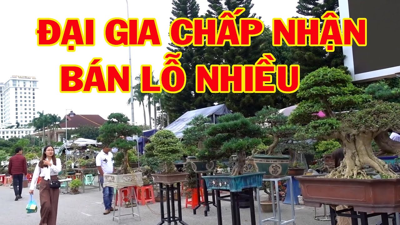 Cây mới mua đã chấp nhận bán lỗ vì không có thời gian chăm cây, chợ cây cảnh - bonsai market