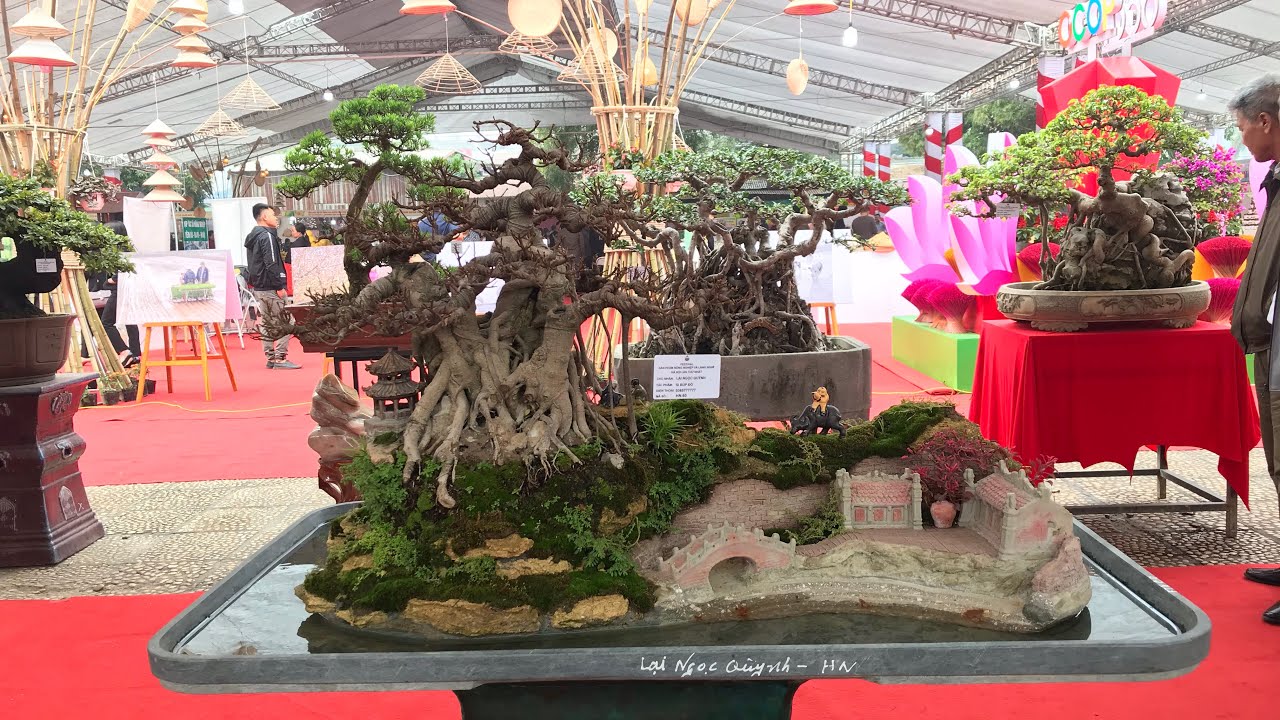 GIÀN BONSAI CHẤT LƯỢNG NHẤT CỦA FESTIVAL 489 HOÀNG QUỐC VIỆT - QUA NGAY CHIÊM NGƯỠNG CÁC BÁC!