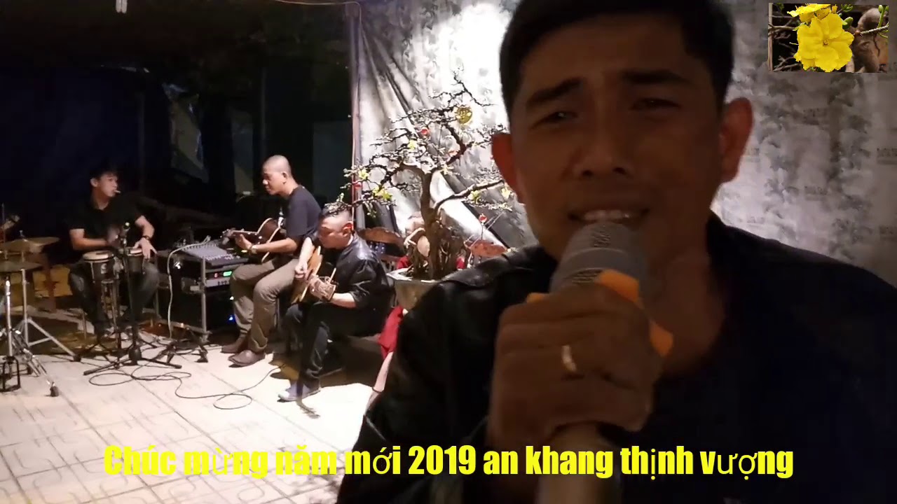 HV 335.mai vàng quảng nam vui xuân 2019 | chúc mừng năm mới