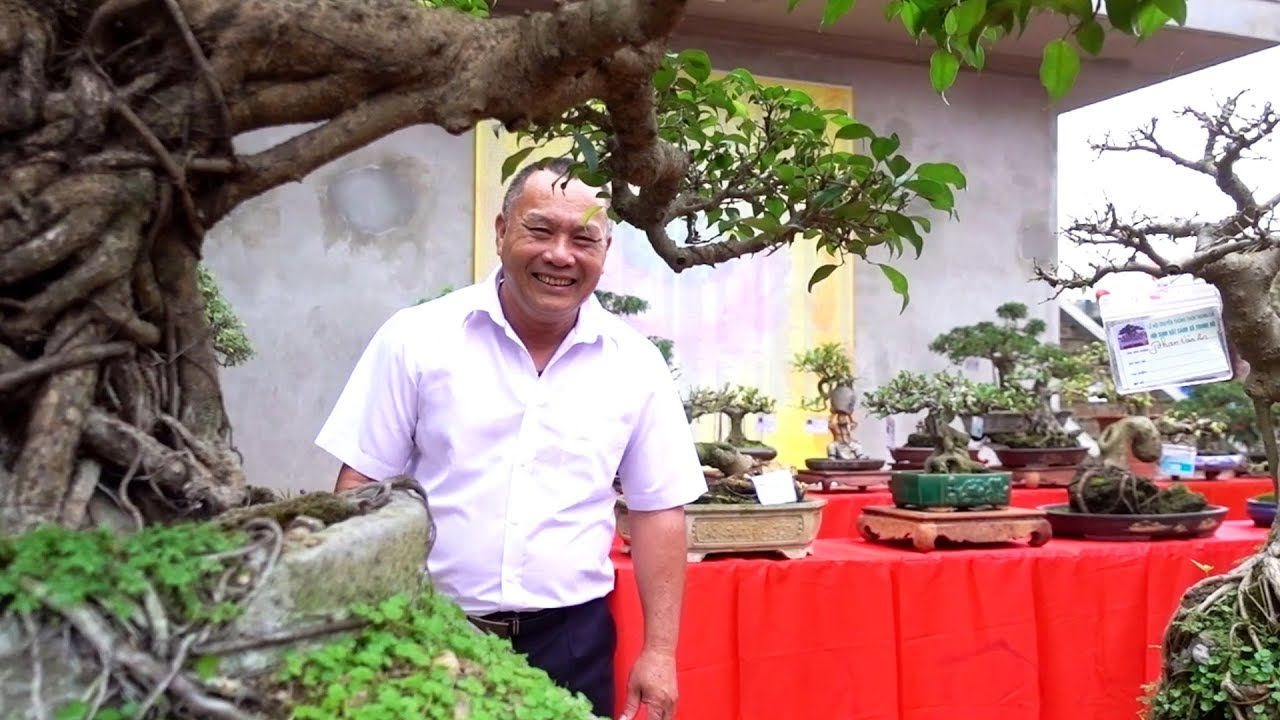 Hỏi giá cây mấy đời mới có được - Price of bonsai tree