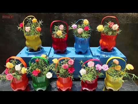 Làm giỏ nhựa chậu hoa mười giờ đẹp - Make beautiful pots grow moss rose