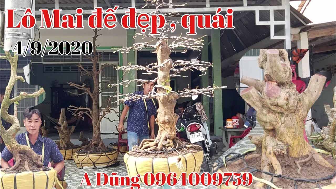 Lô Mai phôi đế đẹp quái giá hữu nghị gặp A Dũng 0964009759 lấp vò Đồng Tháp.