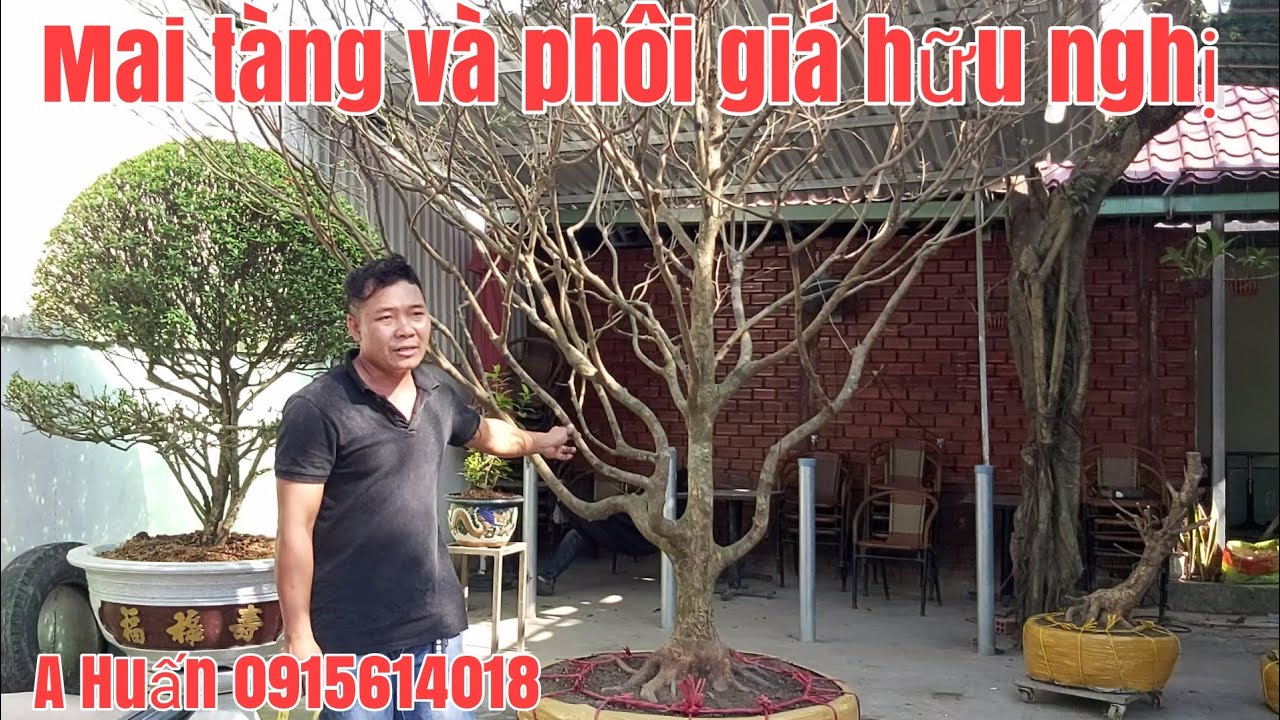 Lô Mai tàng và phôi mai đế đẹp giá hữu nghị gặp A Huấn 0915614018