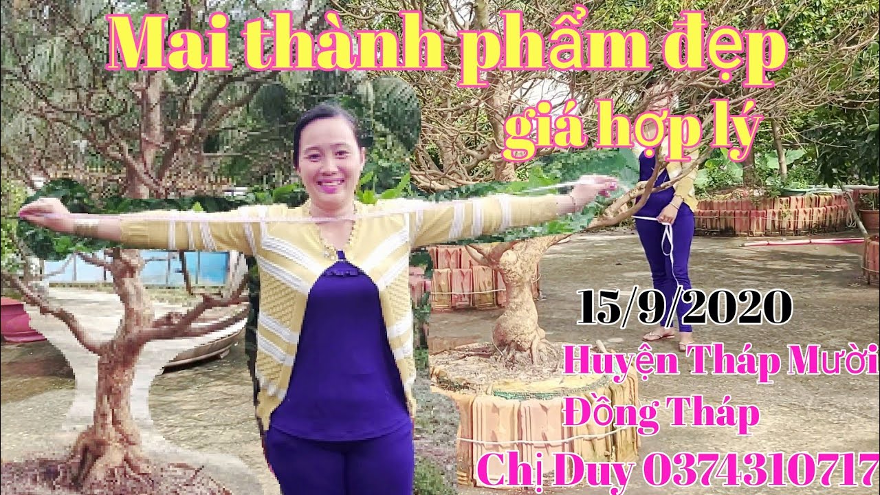 Lô Mai thành phẩm đế đẹp giá hữu nghị gặp chị Duy 0374310717