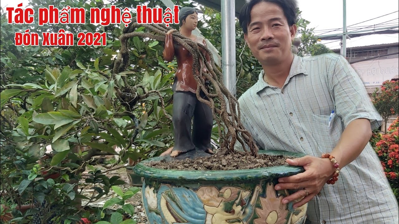 Mai nghệ thuật bonsai quái, dáng bay giá hữu nghị gặp A Đạt 0974131278