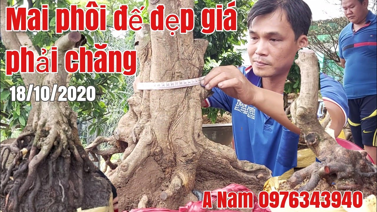 Mai phôi dáng quái siêu đế đẹp gặp A Nam 0976343940 Châu Phú AG