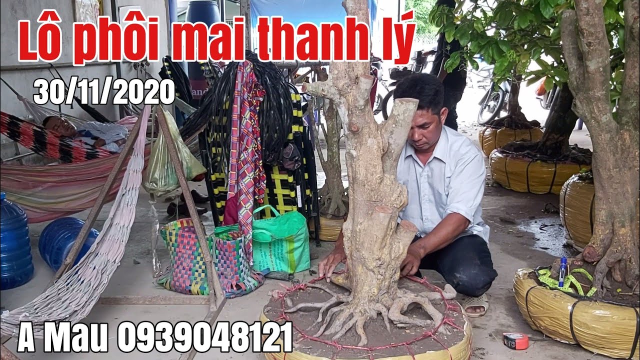 Mai phôi đế đẹp giá rất hữu nghị gặp A Mau 0939048121