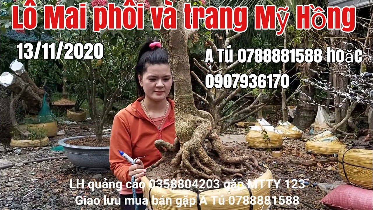 Mai phôi đế đẹp ,trang Mỹ Hồng giá hợp lý gặp A Tú 0788881588 hoặc 0907936170