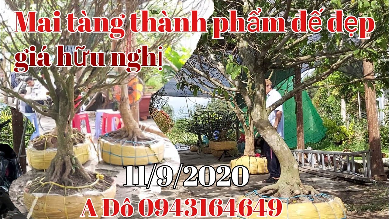 Mai tàng Một cốt đế đẹp giá hữu nghị gặp A Đô 0943164649 Hậu Giang