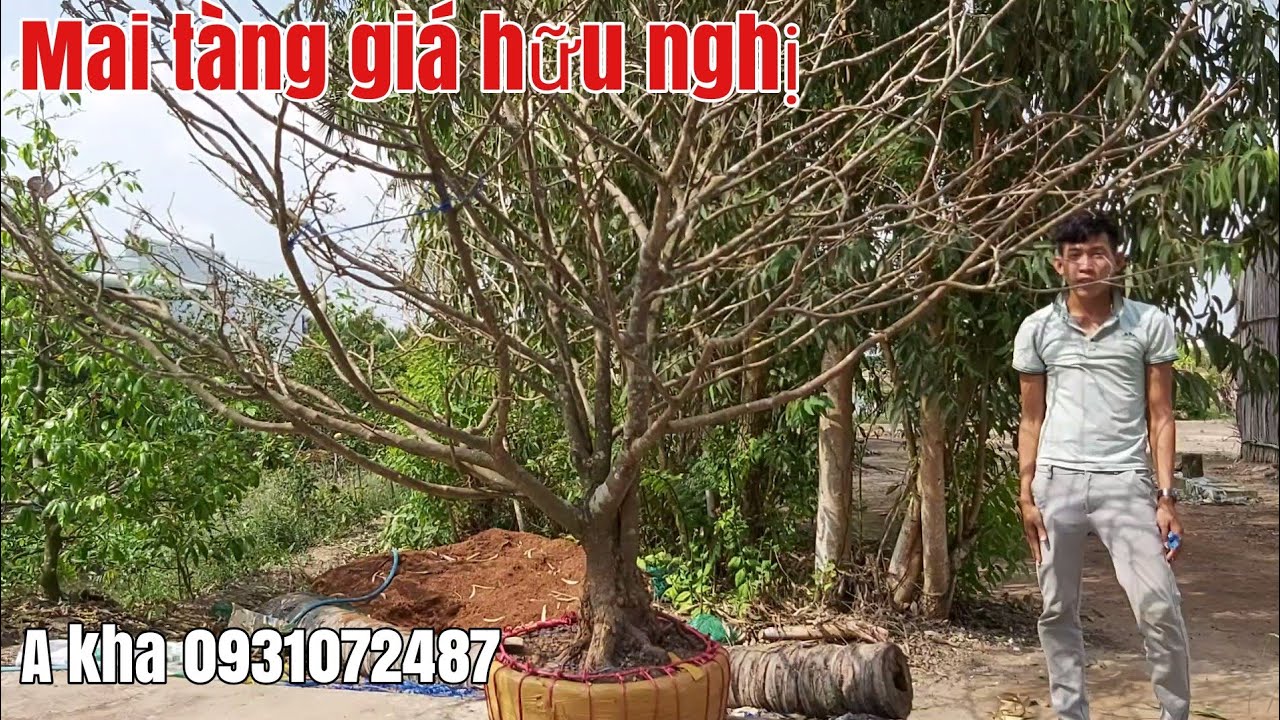 Mai tàng đế đẹp giá hợp lý gặp A kha 0931072487 sóc Trăng