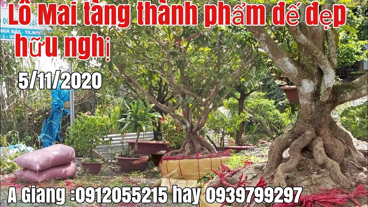 Mai tàng thành phẩm đế đẹp giá hữu nghị gặp A Giang 0912055215 Hậu Giang