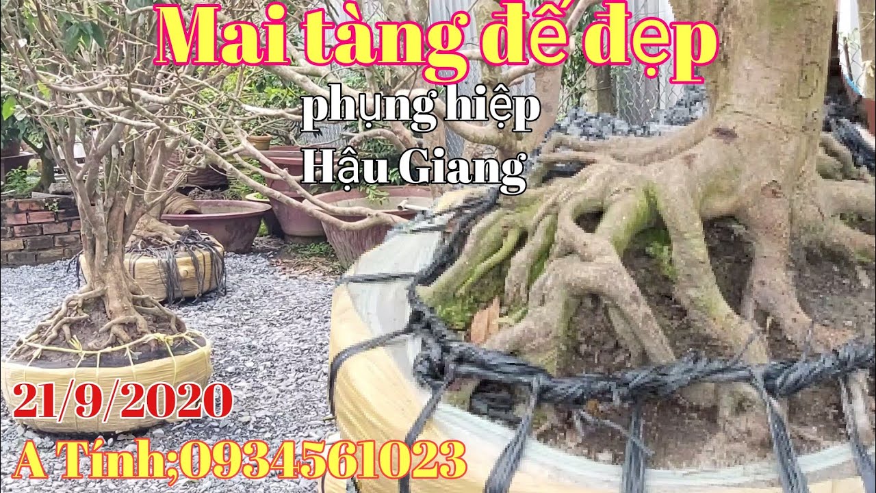 Mai tàng thành phẩm đế đẹp giá rất hợp lý gặp A Tính 0934561023 huyện Phụng Hiệp HG