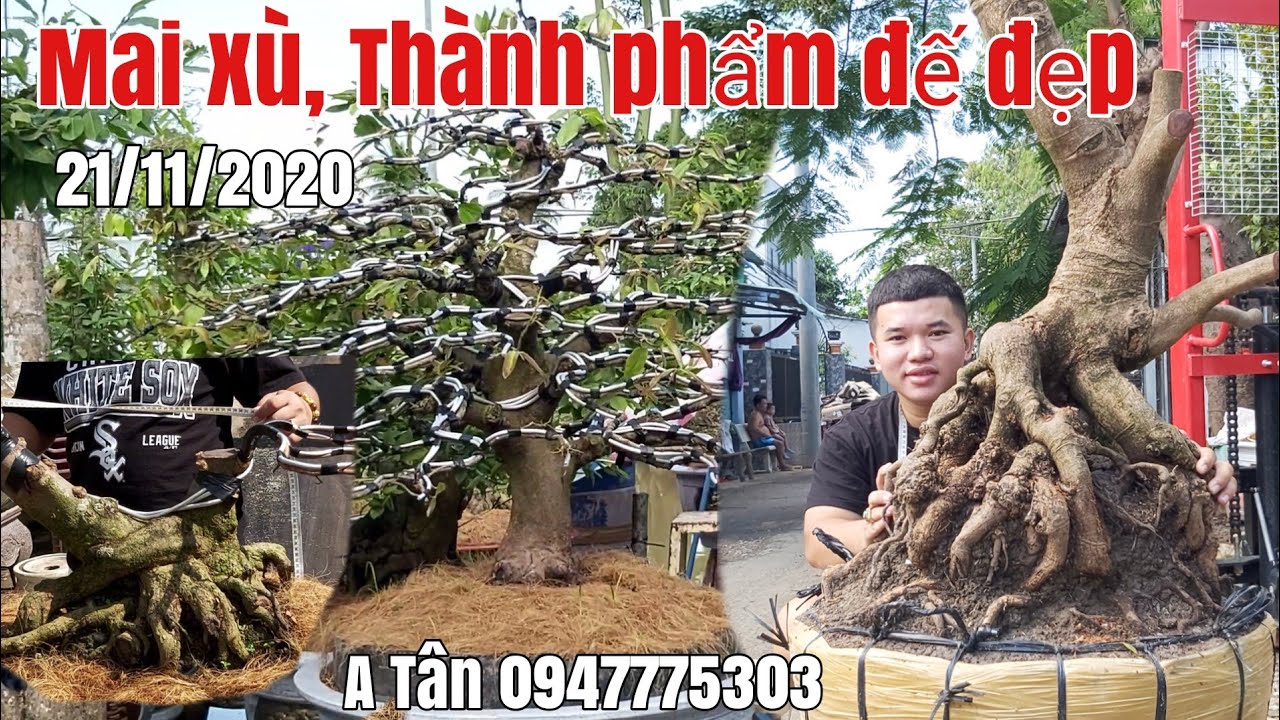 Mai tàng thành phẩm đế đẹp xù và phôi giá hữu nghị gặp A Tân 0947775303