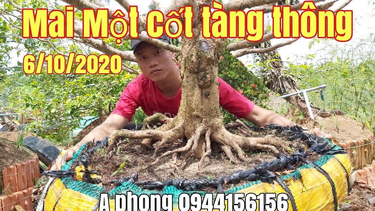 Mai thành phẩm tàng thông một cốt đế đẹp hợp lý gặp A phong 0944156156 huyện Tháp Mười Đồng Tháp