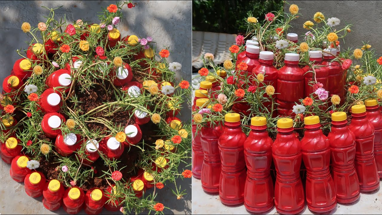 Make tower by bottle to grow - Làm tháp chai nhựa trồng hoa mười giờ vừa đơn giản lại đẹp