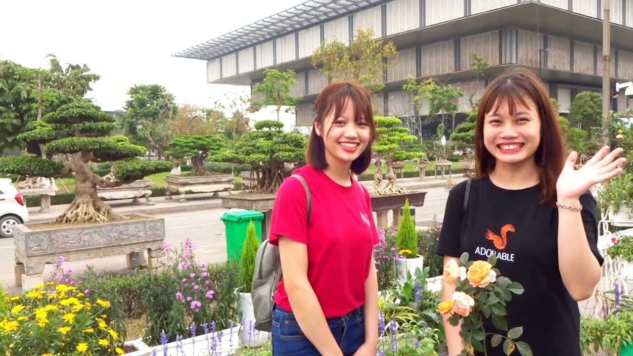 Mấy em sinh viên quá xinh lạc vào rừng bonsai - beautiful bonsai trees and pretty students