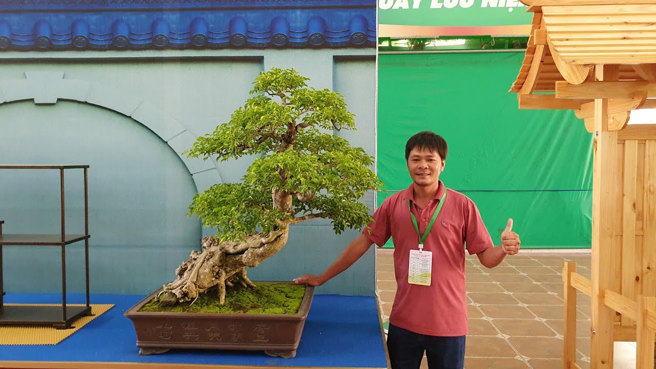 SH.3289.Bonsai đặc biệt tại Festival Bonsai Châu Á Thái Bình Dương. Suối Tiên. tp HCM