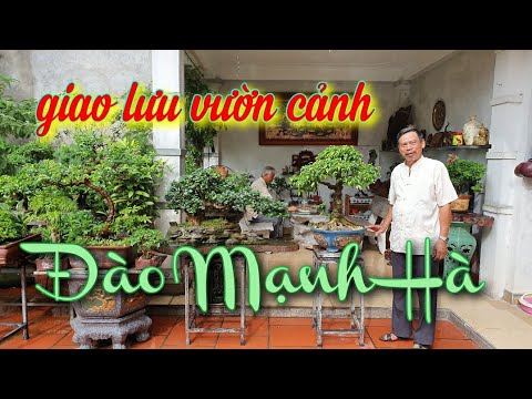 SH.4035. Giao lưu với vườn cảnh đẹp cụ Đào Mạnh Hà phường Kỳ Bá tp Thái Bình.