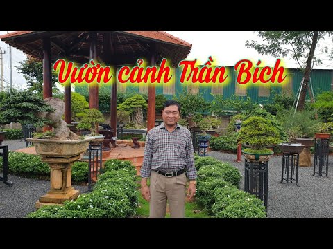 SH.4389. Thăm vườn cảnh đặc biệt Trần Bích tp Buôn Ma Thuột tỉnh Đắk Lắk.