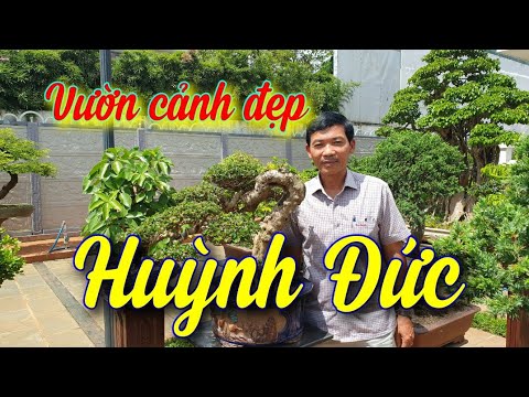 SH.4410. Thăm vườn cảnh đặc biệt Huỳnh Đức thị xã Buôn Hồ Đắk Lắk.