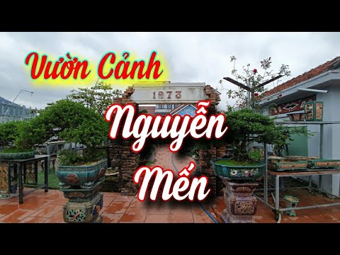 SH.4663. Thăm vườn cảnh đẹp Nguyễn Văn Mến bonsai tp Tuy Hòa tỉnh Phú Yên.