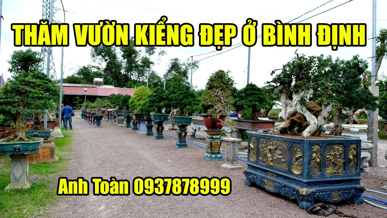 Thăm 1 trong những vườn kiểng đẹp nhất Bình Định - anh Toàn 0937878999