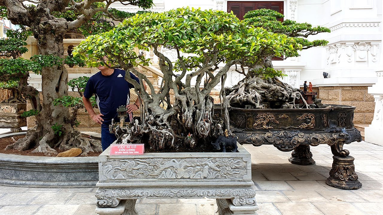 Theo anh em thì nên kê cao lên hay chặt bớt bộ bệ đi nào ?