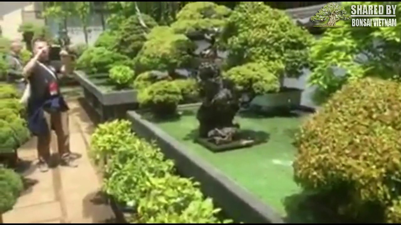Vườn Bonsai mà ai cũng muốn sở hữu