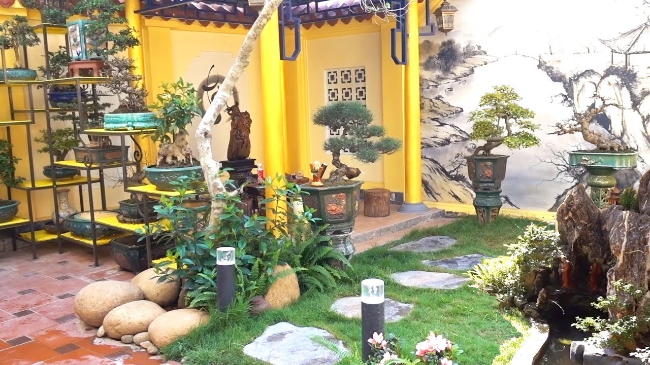 Vườn đẹp cây quý giá hợp lý - beautiful bonsai garden