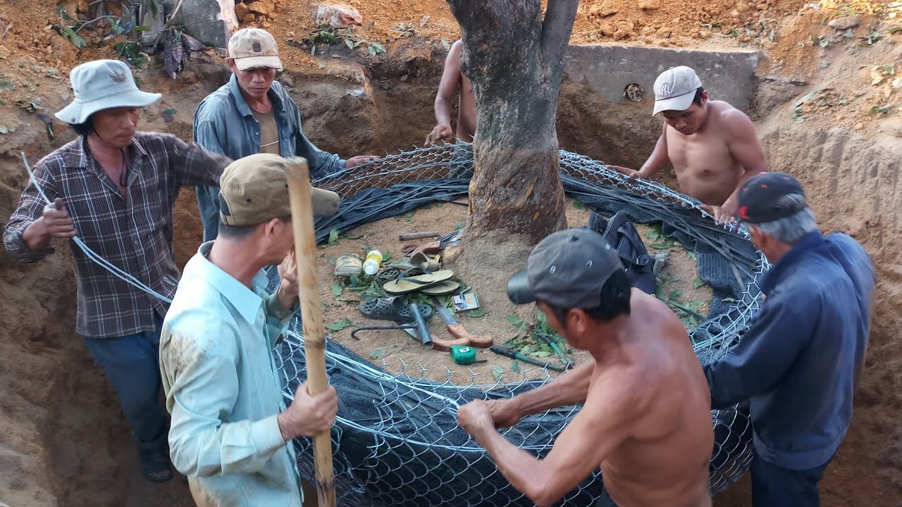 lão mai đại thụ | tâm quyết bảo tồn của các đại gia trẻ quảng nam