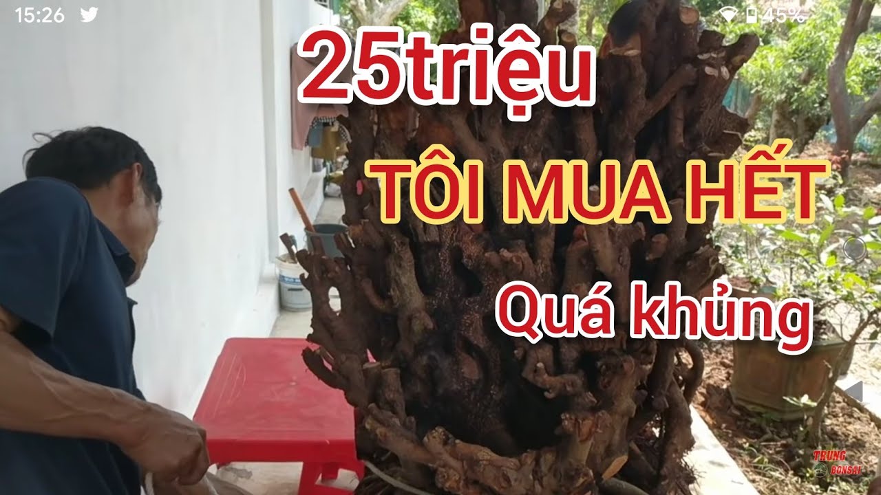 vừa uống bia song không cần xem kỹ giao dịch nhanh 25 triệu cảnh mẫu đơn thâu tóm thị trường si rồi