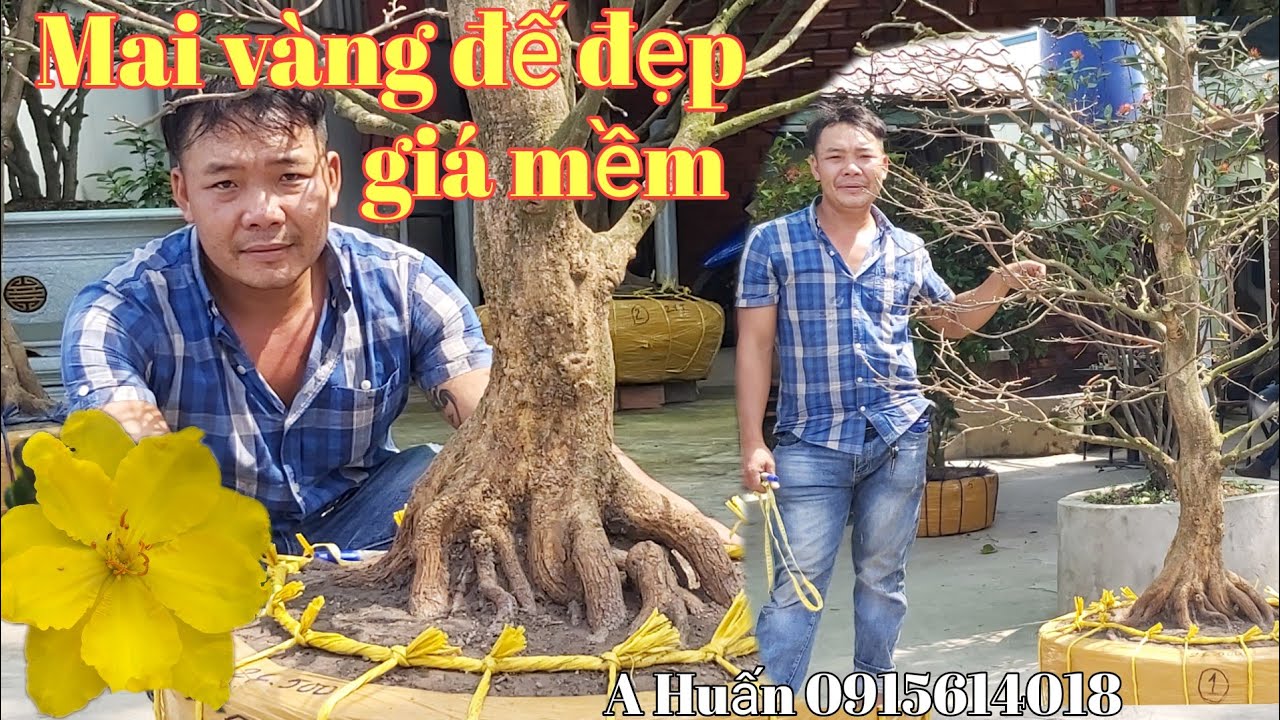 Mai tàng thông đẹp như tranh vẽ giá rẻ đẹp gặp A Huấn 0915614018