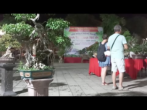 Ngắm Bonsai Về Đêm Tại Hội An