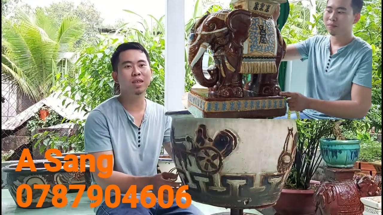 Giao lưu lô chậu 1cập voi Biên Hòa xưa gặp A sang 0787904606 cần Thơ.