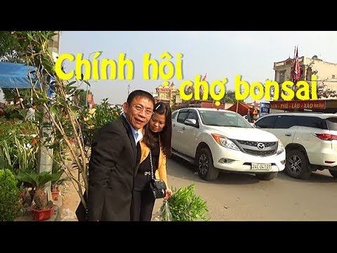 Giống nhà báo Lại Văn Sâm/Chính hội chợ Viềng - người mua cây đông nghịt