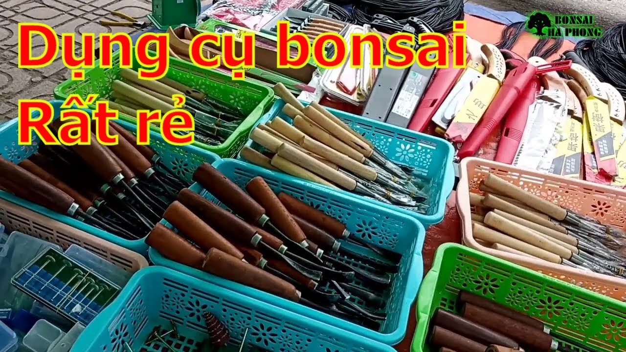 ✅Hỏi giá cây cảnh và dụng cụ bonsai khu thương mại Bắc Ninh✔️BShp