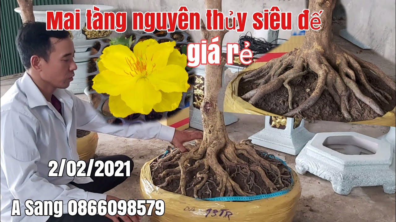 Mai tàng đế siêu đẹp VIP giá rẻ hợp lý gặp A Sang 0866098579 Hậu Giang