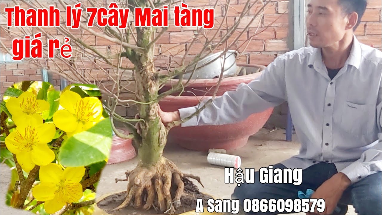 Mai tàng thiên nhiên đế đẹp giá rẻ gặp A Sang 0866098579 Hậu Giang