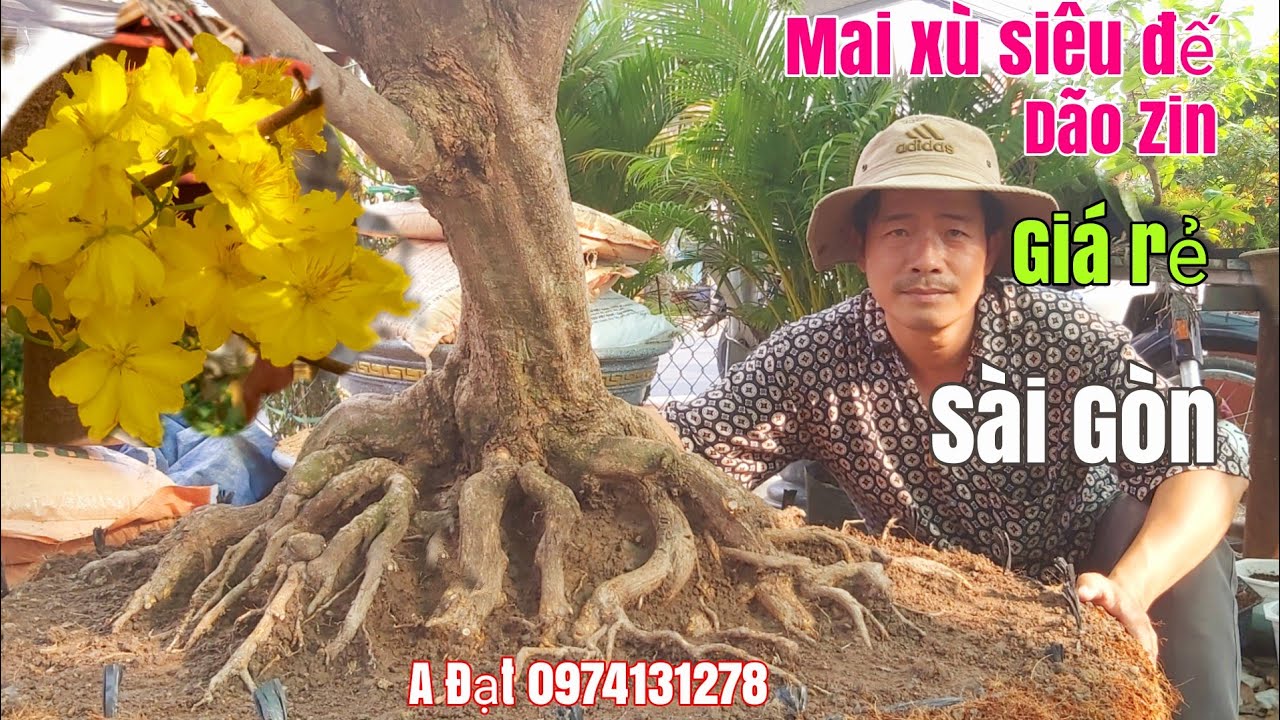 Mai xù siêu đế dão Zin bông đẹp giá rẻ gặp A Đạt 0974131278 Sài Gòn ngày 4/3/2020