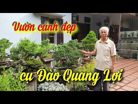 SH.4034. Thăm vườn cảnh đẹp cụ Đào Quang Lợi phường Kỳ Bá tp Thái Bình.