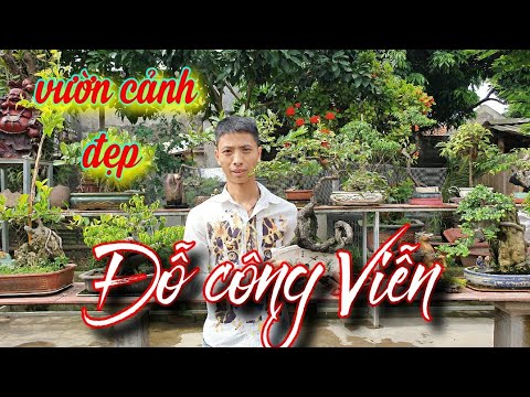 SH.4036. Thăm vườn Bonsai nhỏ đẹp Đỗ Công Viễn xã Việt Thuận huyện Vũ Thư Thái Bình.