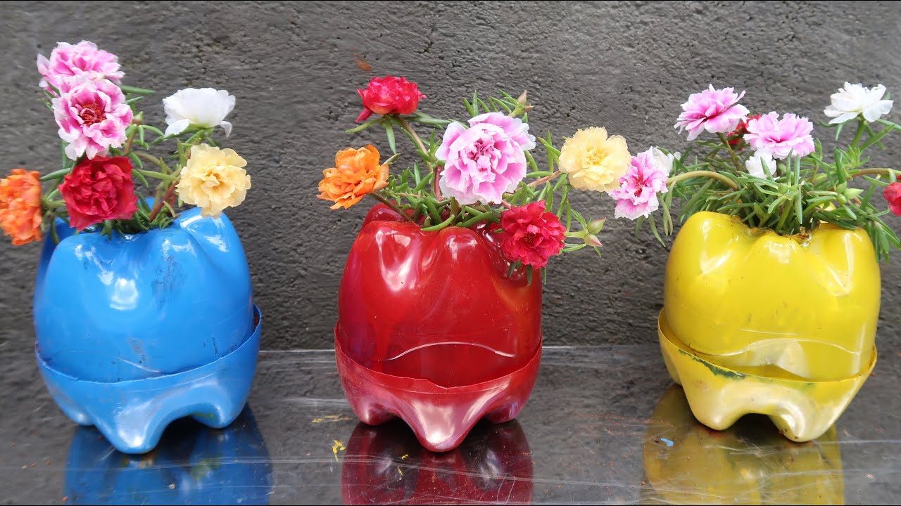 Tạo chậu hoa đẹp bằng chai nhựa - Make pot grow 10 o'clock flower