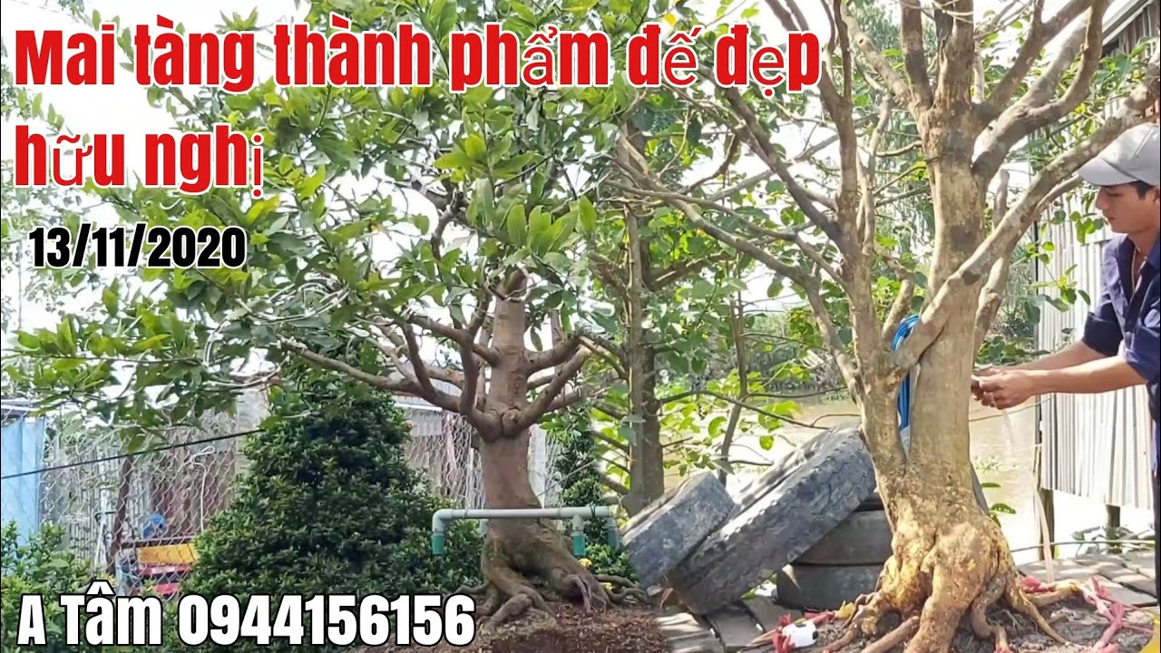 Mai tàng thành phẩm đế đẹp giá hợp lý gặp A Tâm 0944156156 huyện Tháp Mười tỉnh Đồng Tháp