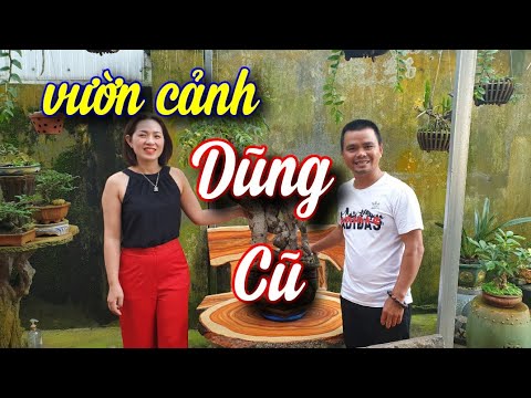 SH.4398. Thăm vườn cảnh đẹp anh Dũng Cũ thị xã Buôn Hồ Đắk Lắk.