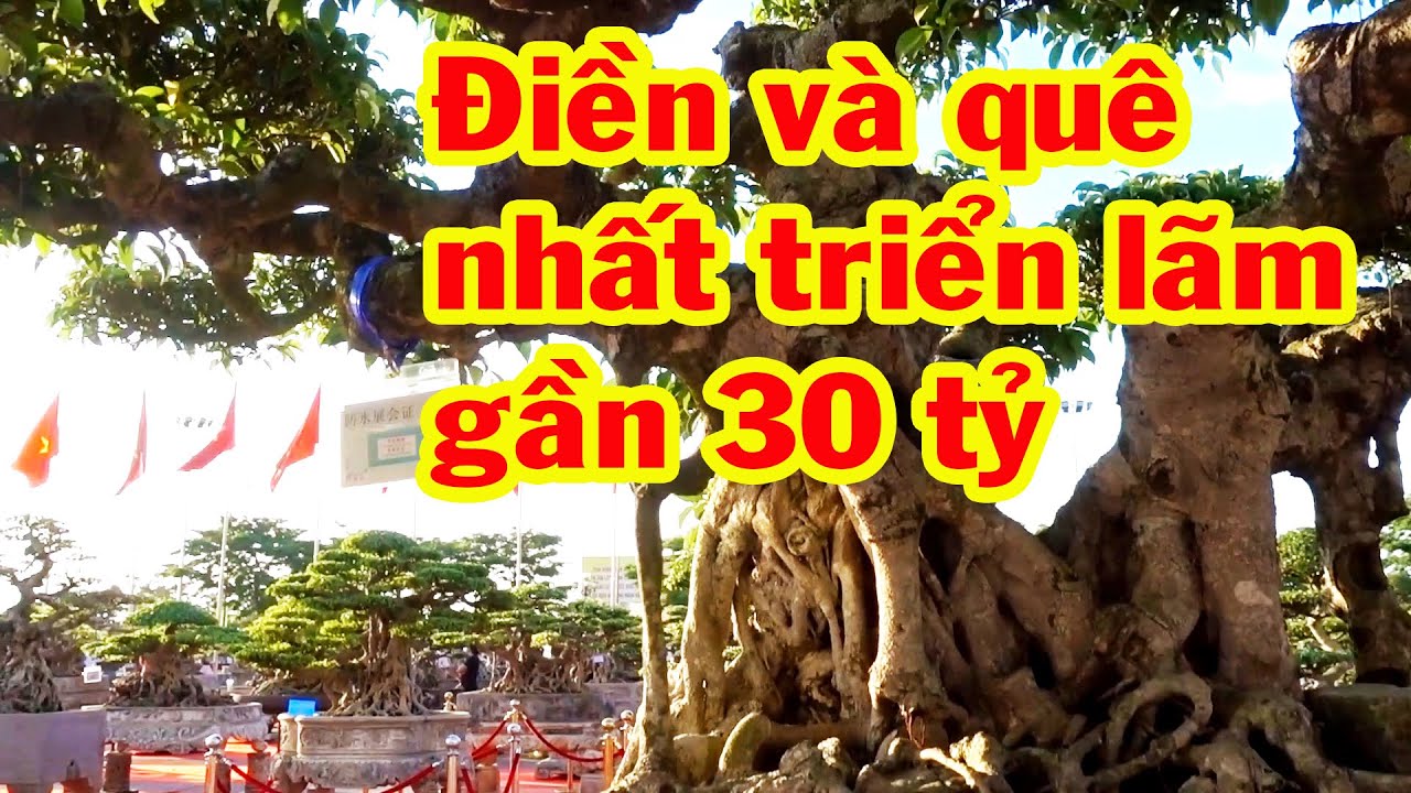 Sanh Điền gần 30 tỷ và những siêu phẩm sanh quê đáng nhiều tỷ, xem là mê