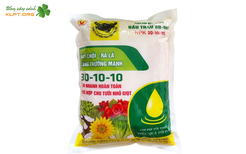 vai-tro-cua-phan-dap-va-npk-30-10-10-doi-voi-mai-vang-1-klpt