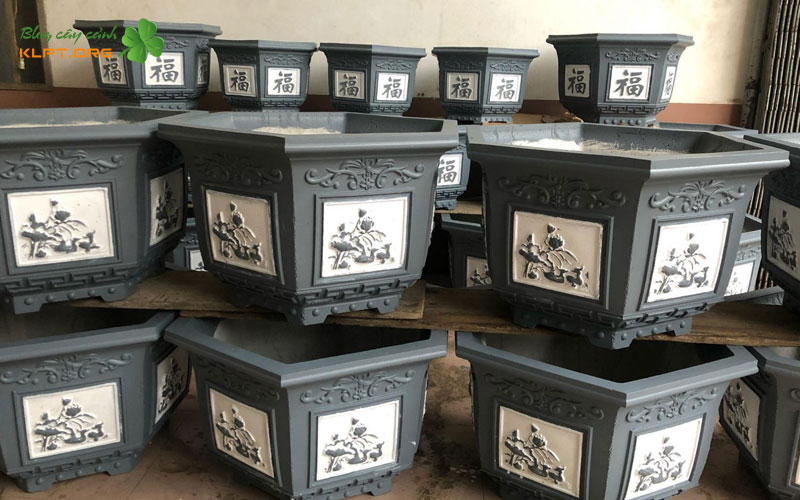 cac-dong-chau-canh-noi-bat-tai-phuc-nguyen-klpt