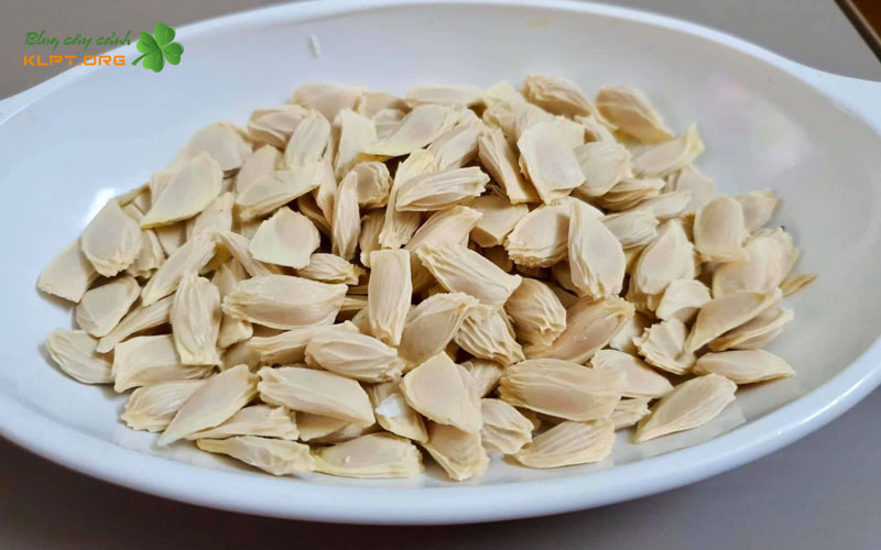 cach-xu-ly-hat-buoi-de-nhanh-nay-mam-klpt