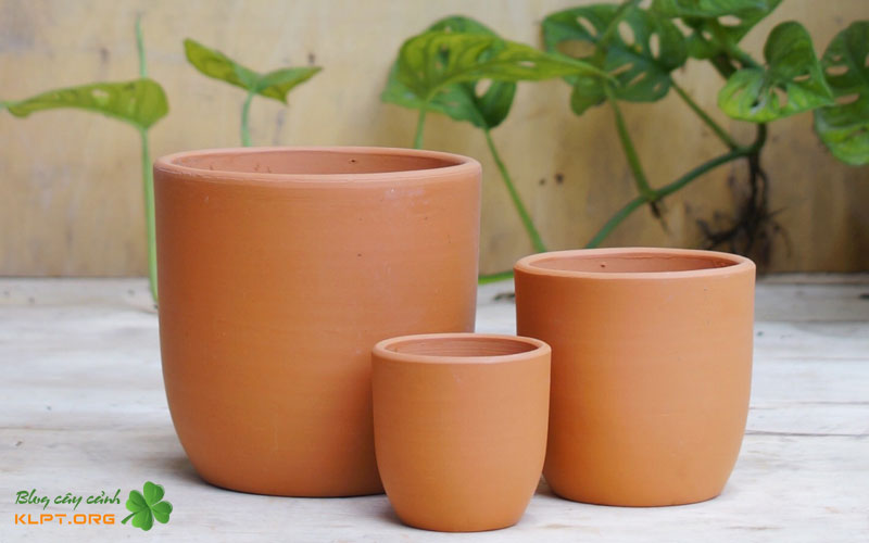 chau-da-mai-hien-dai-2-klpt